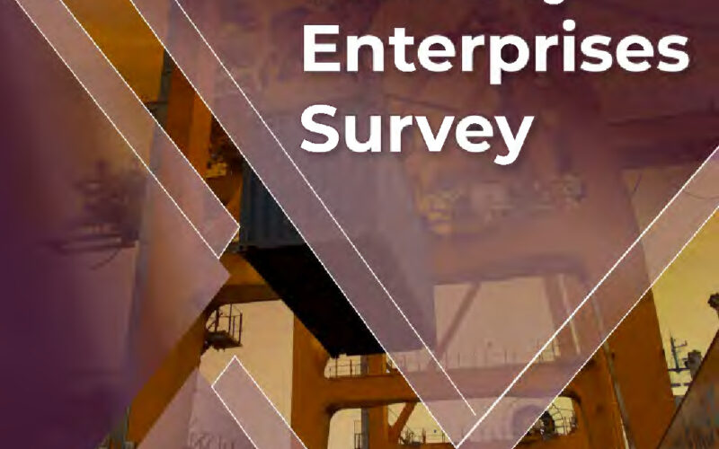 thumbnail of Monthly Enterprises Survey #1_Final.opt